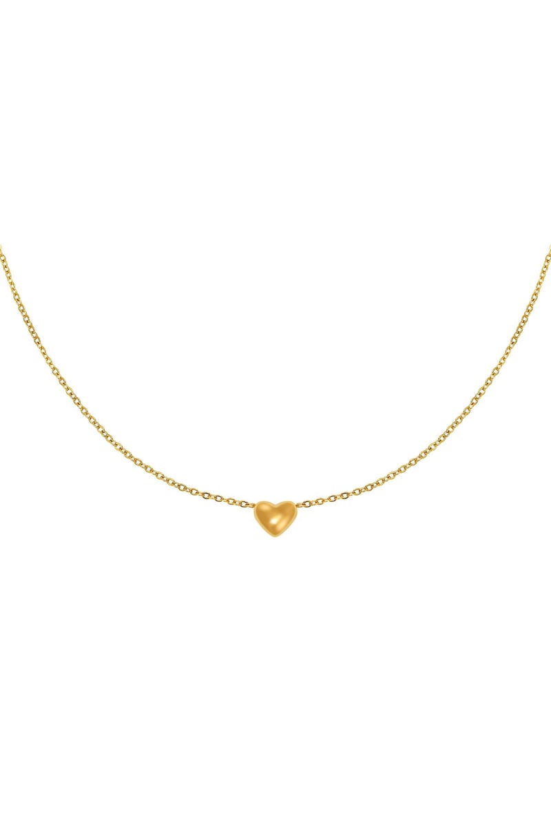 Necklace Always in my Heart Silver Color Stainless Steel