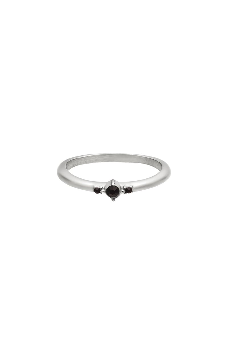 Stainless steel ring with tiny zircon stones Silver Color 16